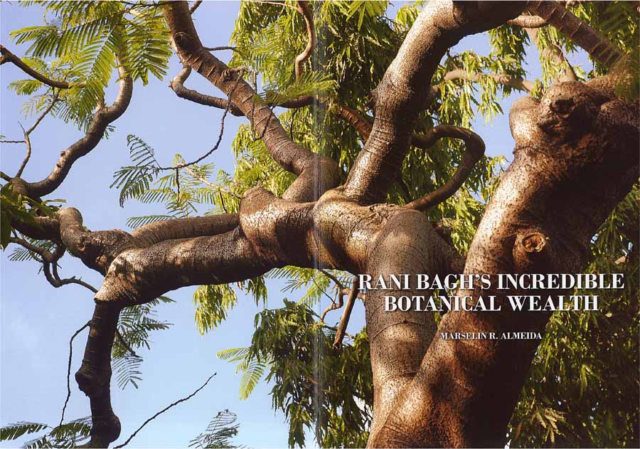 Rani Bagh 150 Years, Chapter III double-spread 